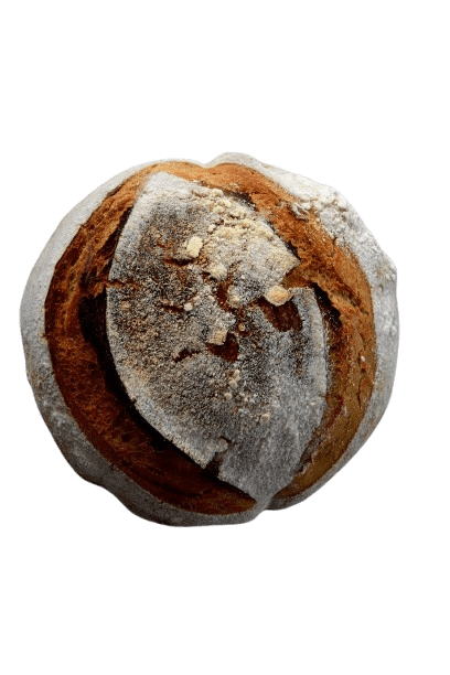 masa madre